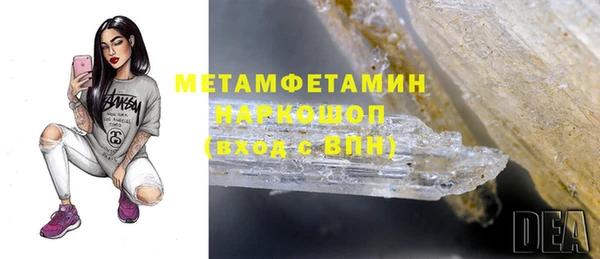 трава Аркадак