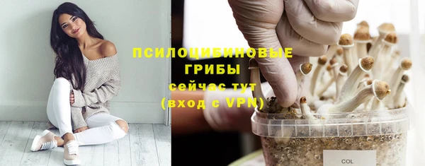 винт Баксан