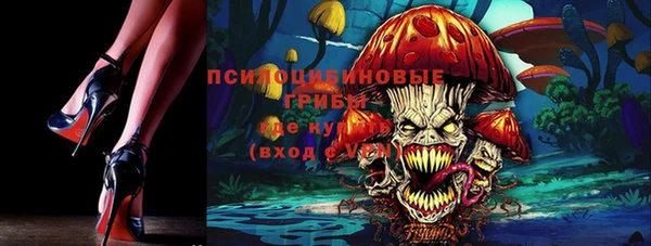 винт Баксан